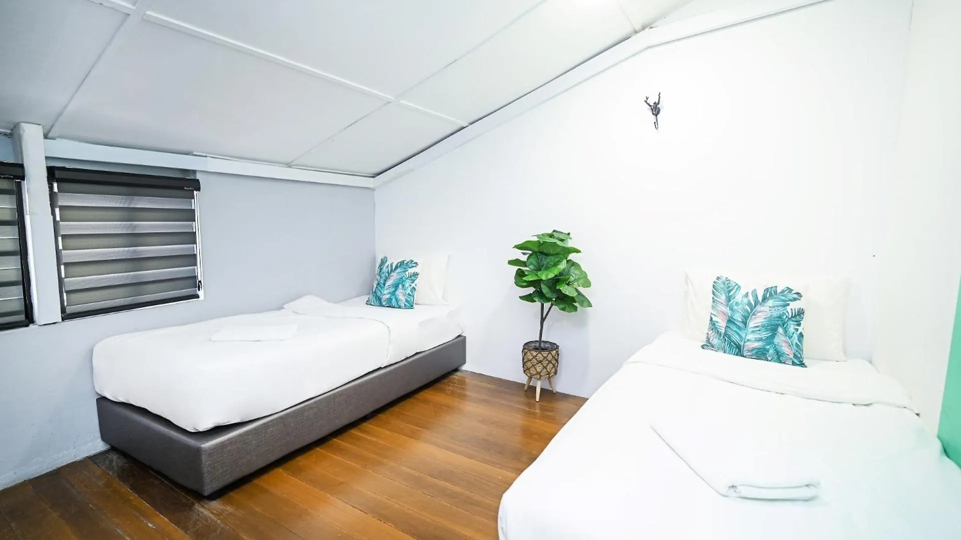Swing & Pillows @ Beach Street George Town Hostel